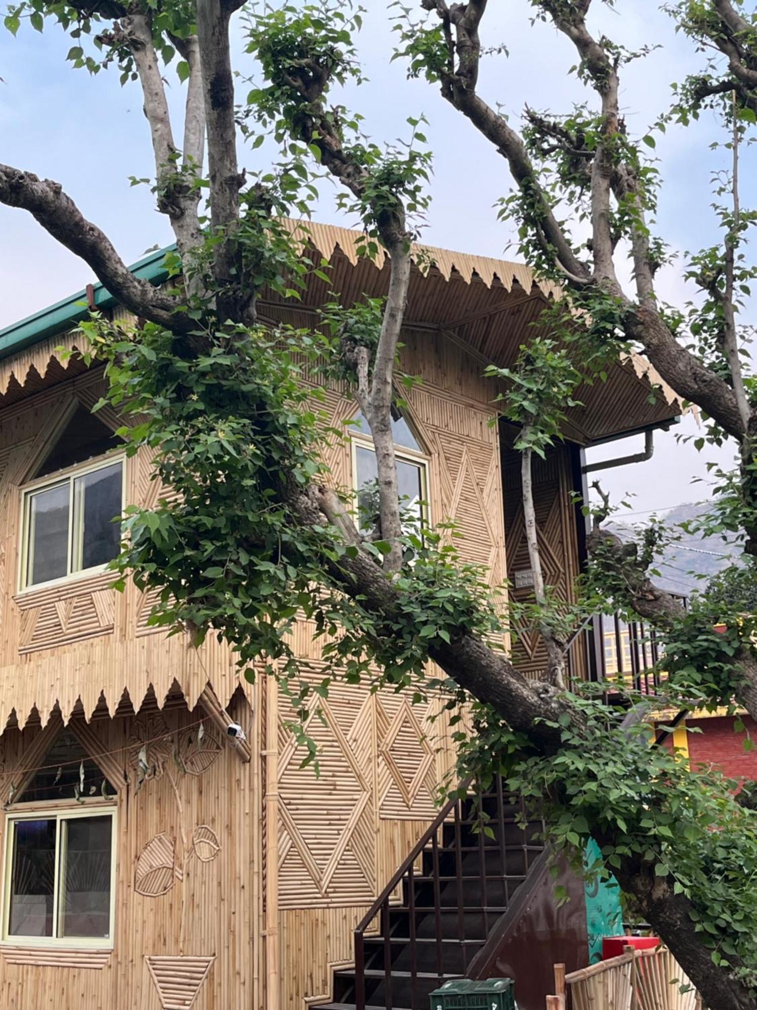 Bamboo Garden Cottages And Cafe Rishīkesh Eksteriør bilde